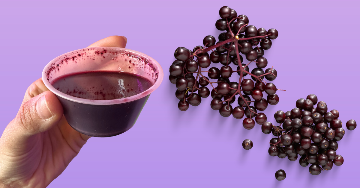 7 Health Benefits of Elderberry The Juice House